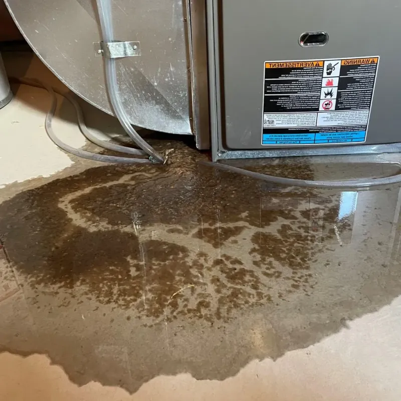 Pipe Burst and Leak Restoration in Fulton County, PA