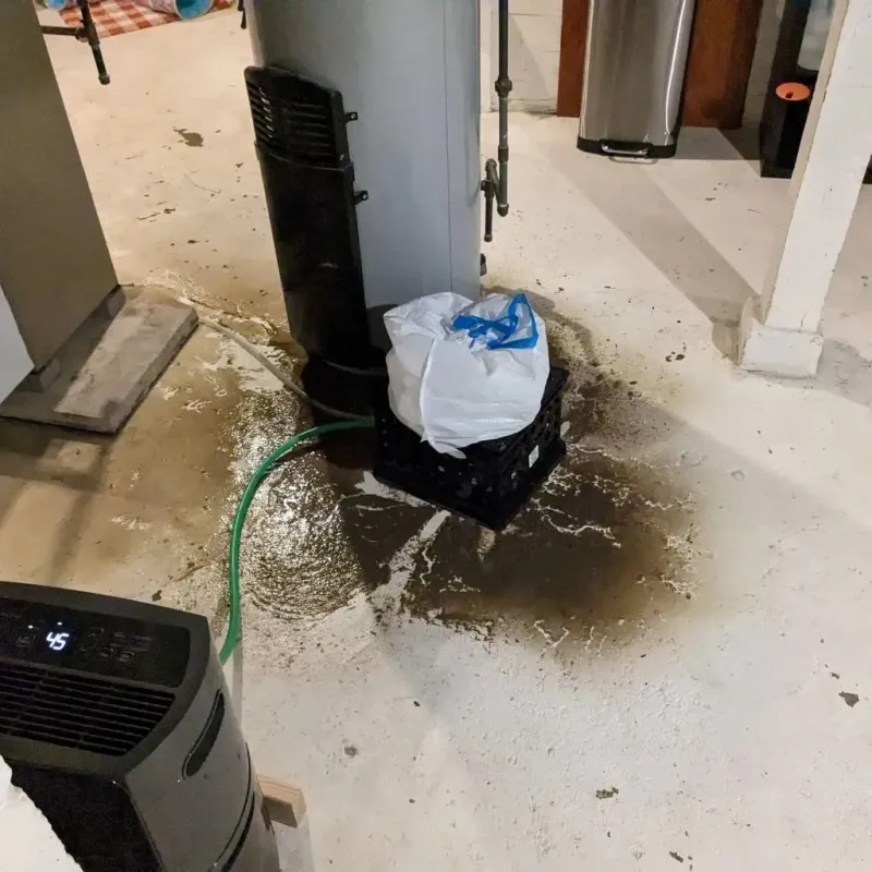 Sewage Backup Cleanup Service in Fulton County, PA